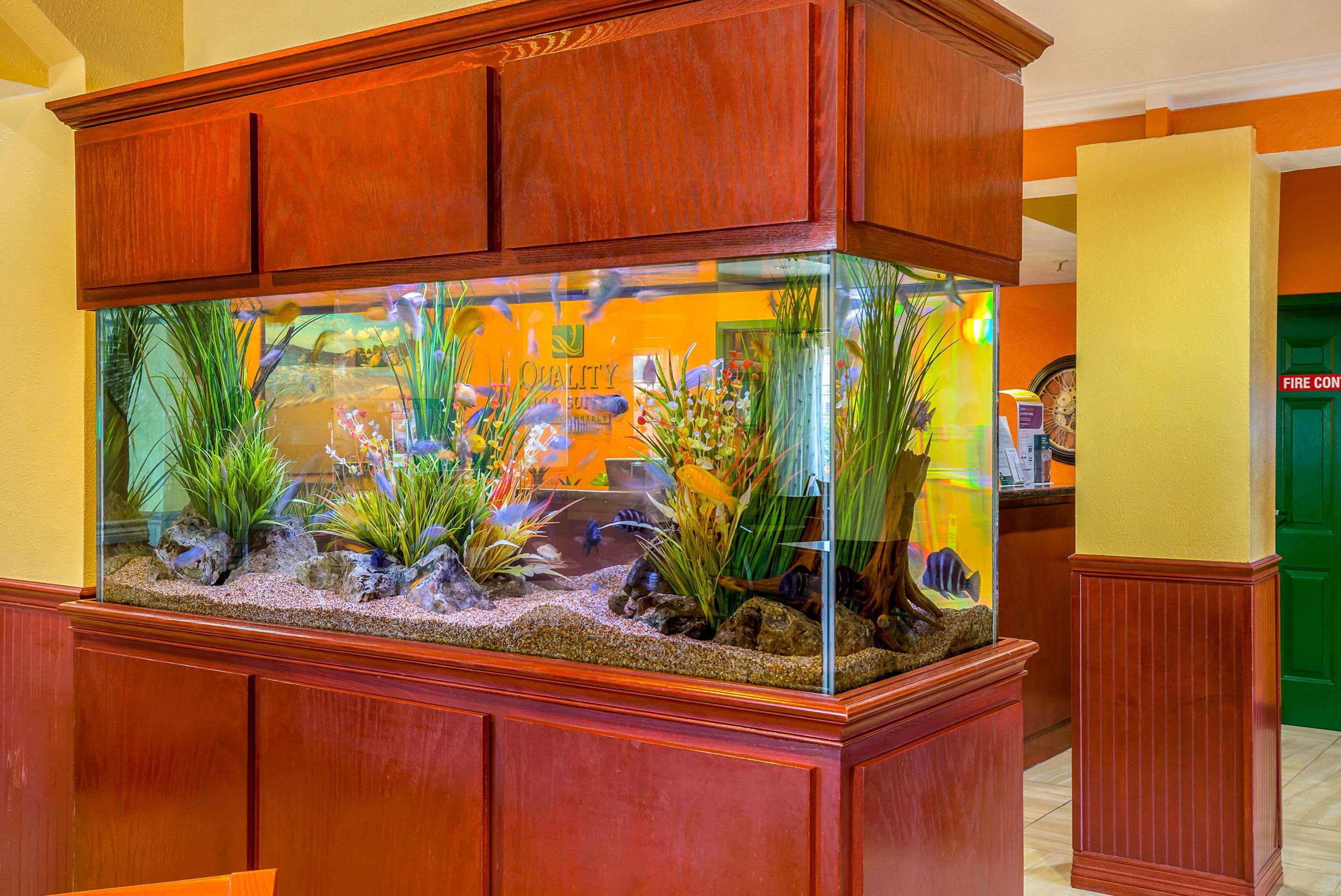 Quality Inn & Suites Galveston - Beachfront Eksteriør bilde